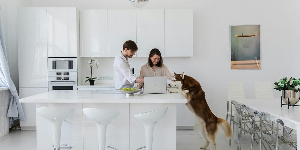 Modern White Slab Kitchen